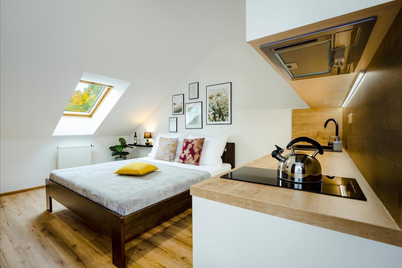 Apartment Benesovka Vacov