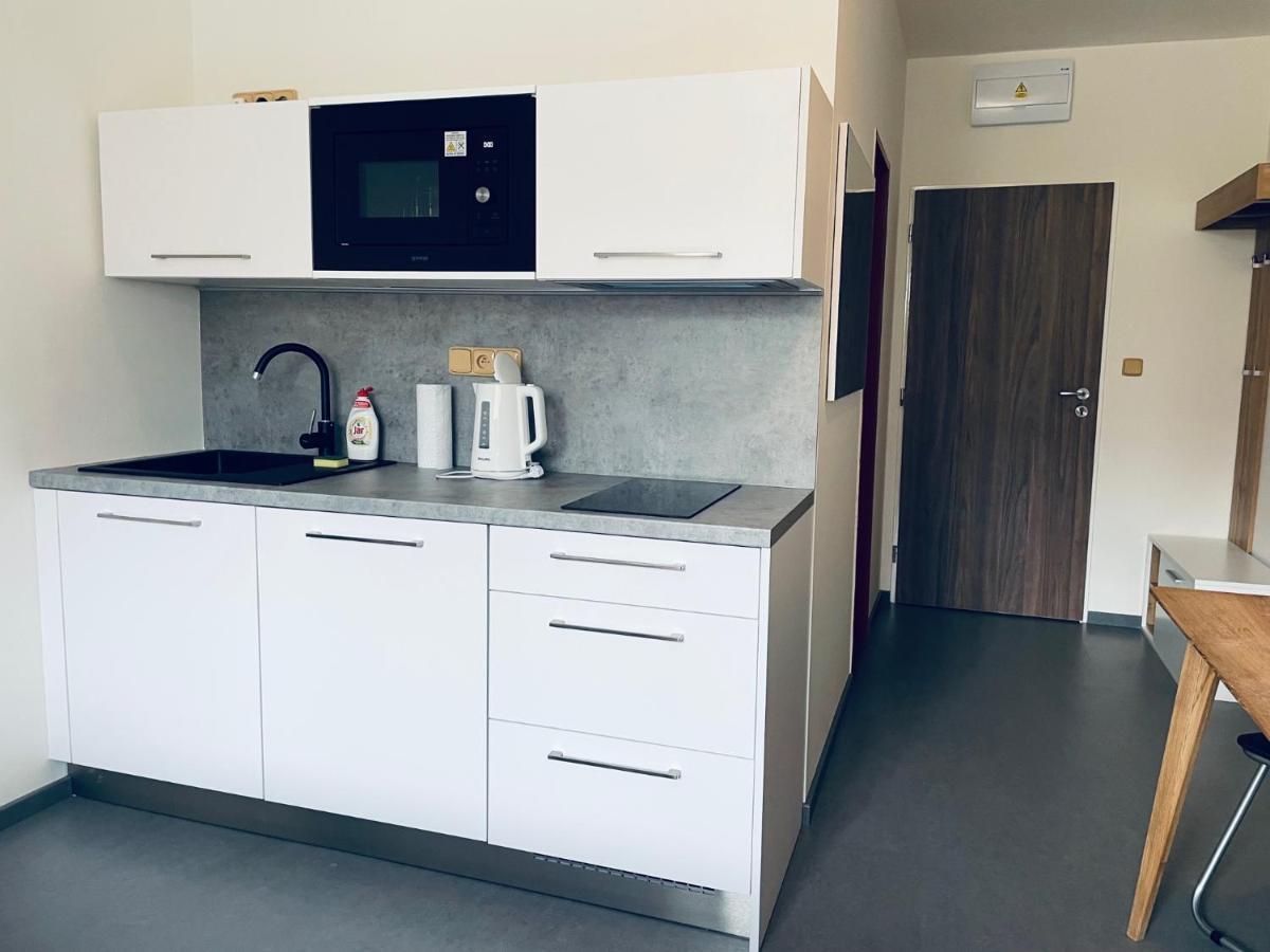 Benesovka Apartment *